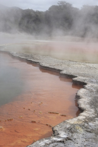 The Champagne pool, Wai-O-Tapu 