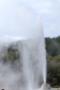 The Lady Knox Geyser 