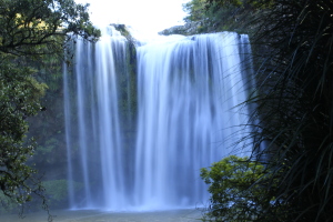 Whangarei falls 