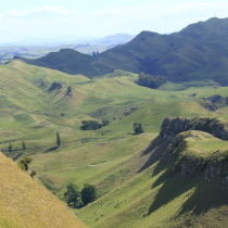 Hawke’s Bay